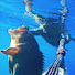 XmodoKLGS1U-channel-avatar-Into the Depths – Rodrick Cutajar