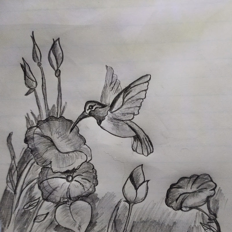 Art by Afaq