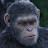 @chimpanzeeeee