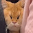 @7yfjk1gj