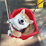 rx9waztb0zE-channel-avatar-StellarShibe