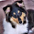 @Meinbac's avatar