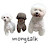 몽톡 MONGTALK