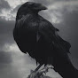 Ravenocturnal
