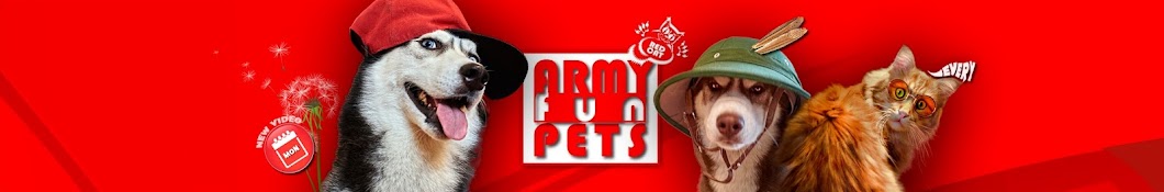 RED CAT: ARMY FUN PETS YouTube channel avatar