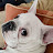@bullie-franske Avatar