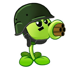 MAD PVZ
