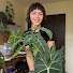 IDquM7TMRhI-channel-avatar-Alice in Planty Land
