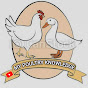 My Poultry Knowledge logo