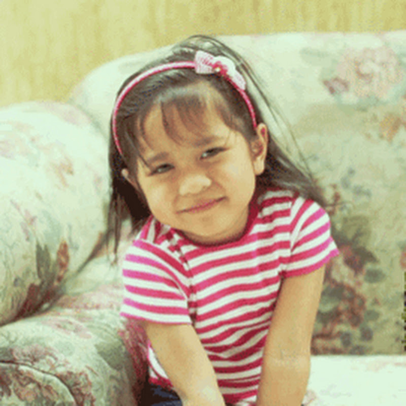 Pinodita icon