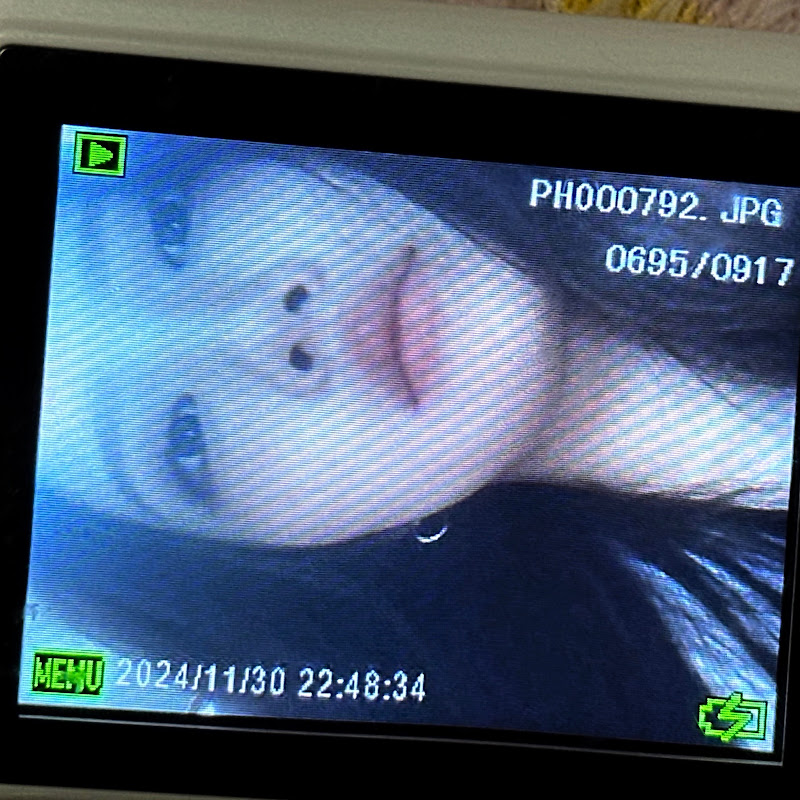 오굳먀