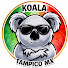 -I6SZpzFhCQ-channel-avatar-koala Tampico mx 