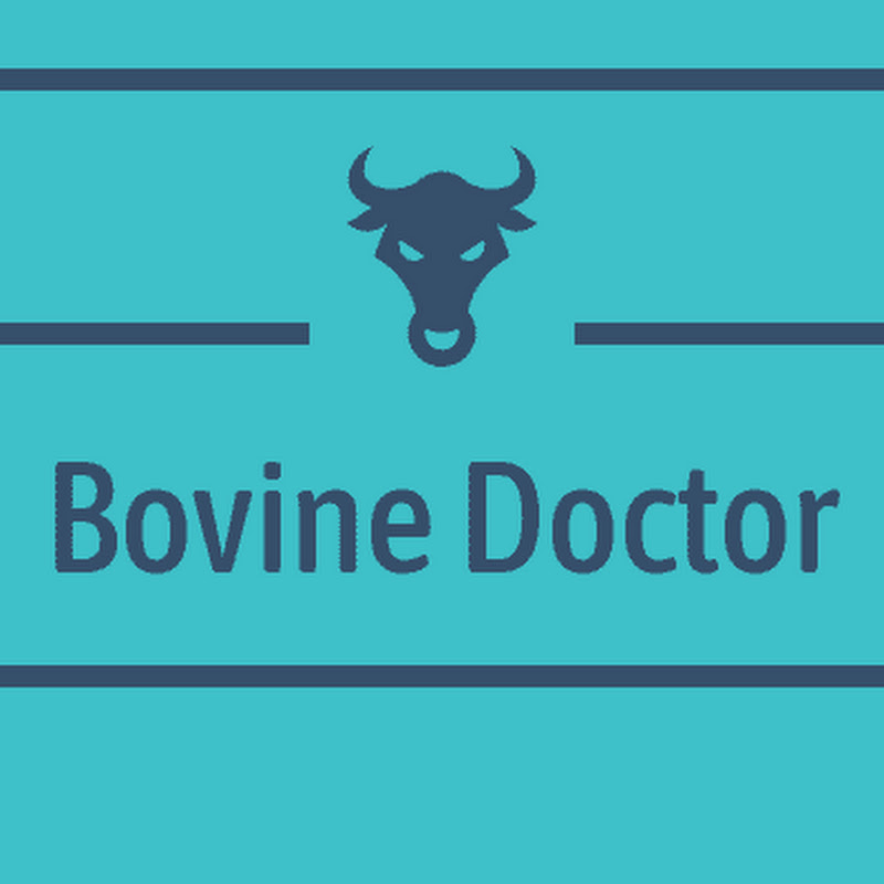 Bovine Doctor