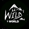 What could WildWorld buy with $2.22 million?