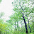 @청산-p8l