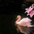 @طالب-ض6