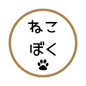 猫と僕の1日