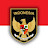 Timnas Garuda