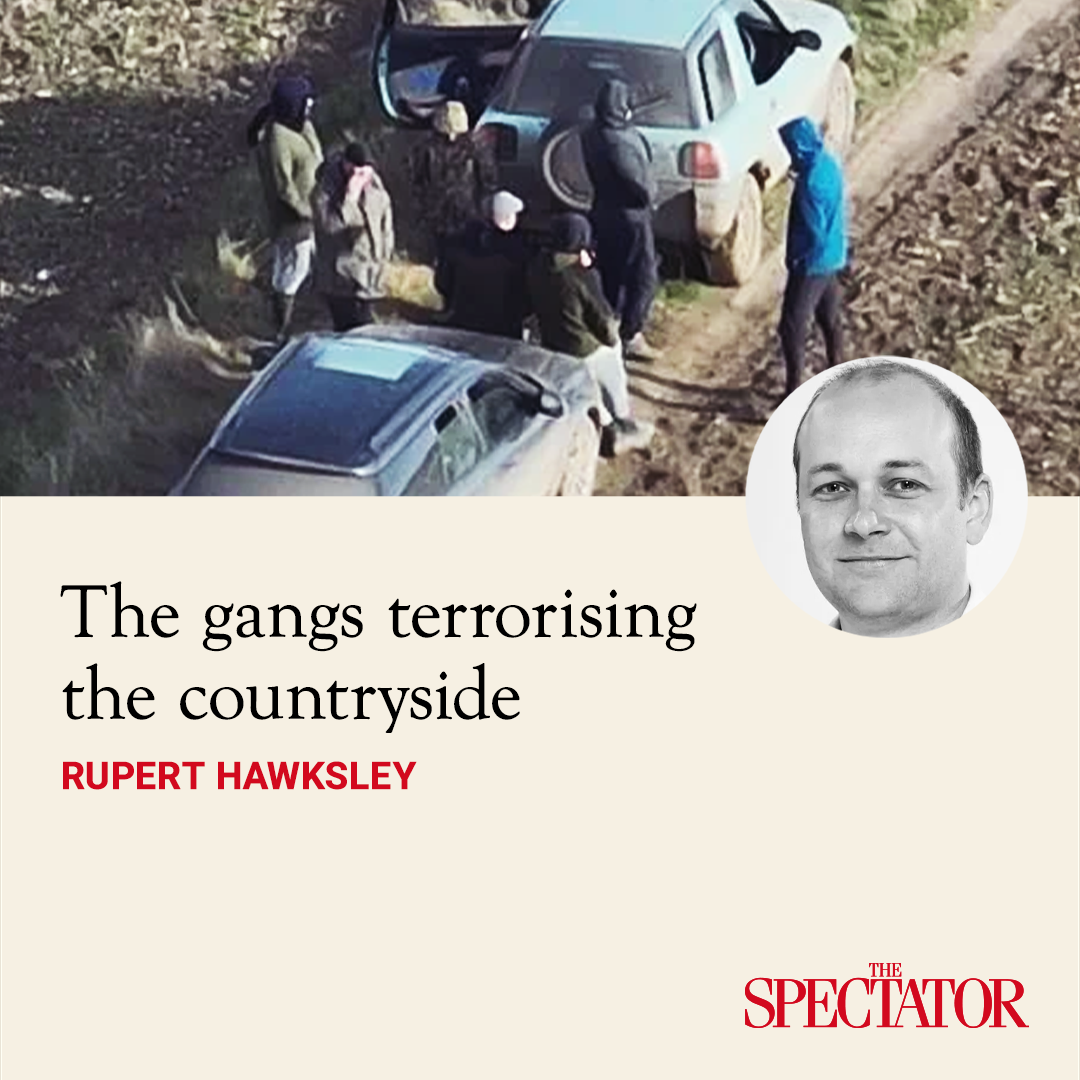 Post from The Spectator