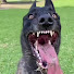 b_loJQs6Q1M-channel-avatar-APEX_ALPHA