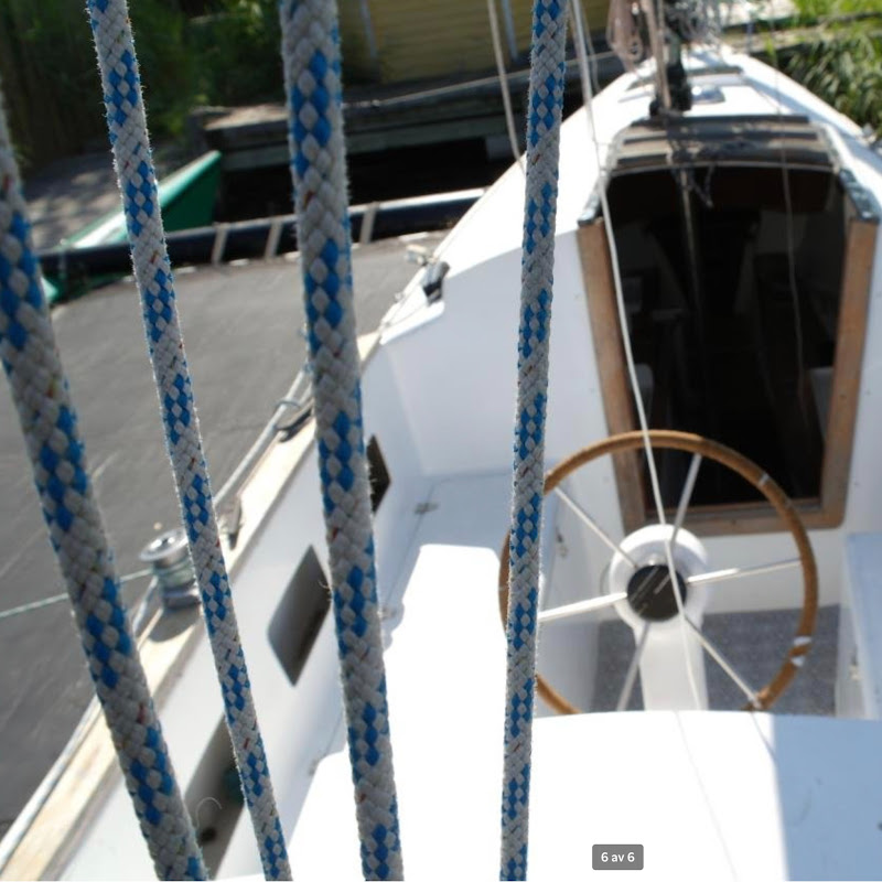 sailingtrimaranpinta