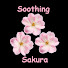 q7jf-bbdxZI-channel-avatar-Soothing Sakura