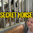 Secret horse | 