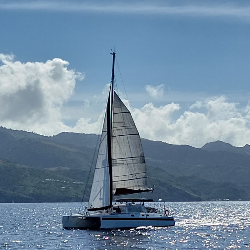catamaranmistertong