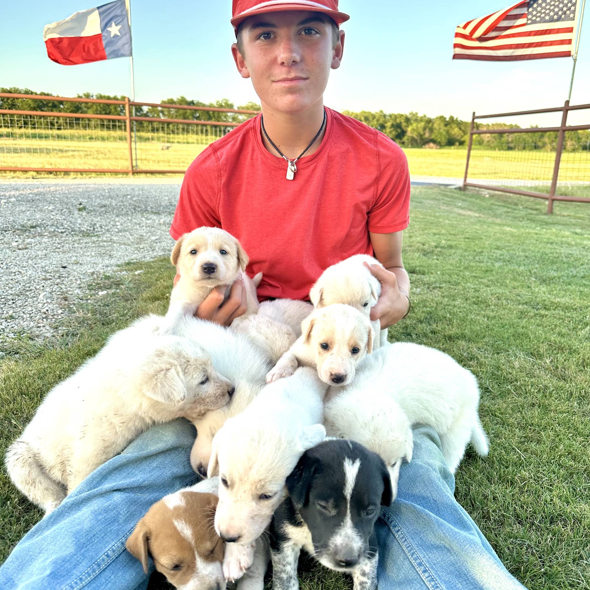 Post from Bar 7 Ranch