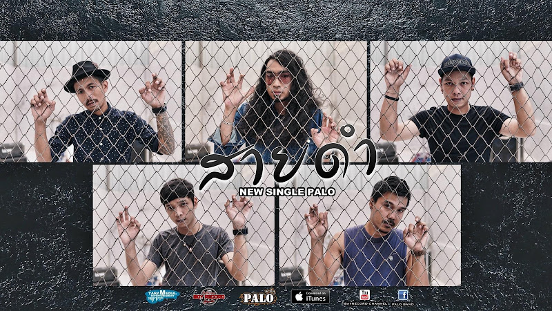 คอร์ดเพลง สายดำ - วงพาโล (PALO)