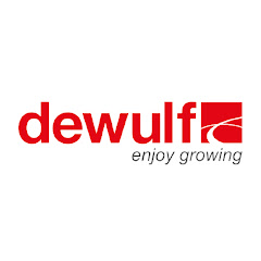 dewulf