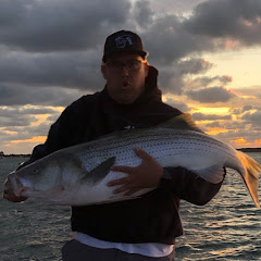 Delta Fisher