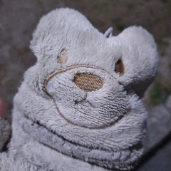 紫蘭倖 -しらゆき-アイコン画像