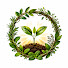 2bcbcmH9QCE-channel-avatar-Root Harvest