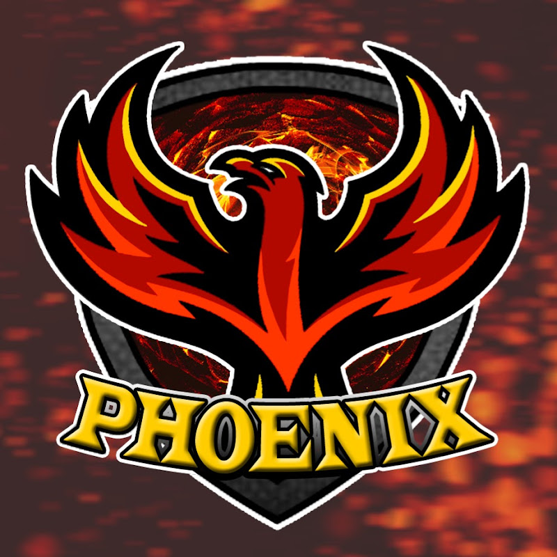 PhoenixYGO icon