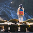 zjOaKqqFRgc-channel-avatar-Saki-Sampo — Slow Walk Japan