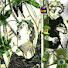 uhSXaeB7qDA-channel-avatar-Rainy