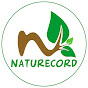 Naturecord  logo