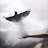 @mustafaahmed5174