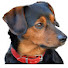 HppWgyWYwP8-channel-avatar-Herman Wijkhuisen