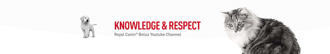 Royal Canin Belgium YouTube channel avatar