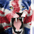Channel Image