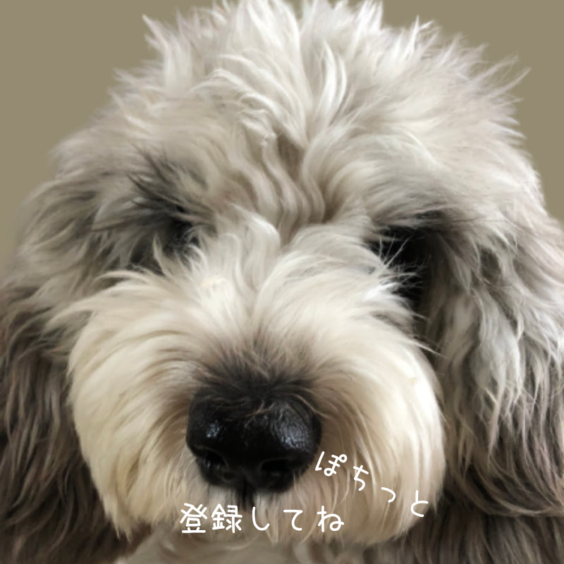プレボ