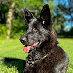 DaVÎN x GsD