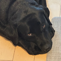D31 profile image