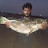 Usman fishing allrundar