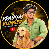 Prabhas Blogger profile image