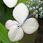 @tina-g9m5r