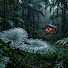 0RLWpH0sOH8-channel-avatar-Forest Rain