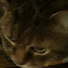 k9wWNuIl4Co-channel-avatar-m00g1